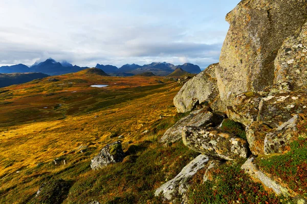 Goldene Landschaften Auf Einem Hochplateau Sommer Auf Den Lofoten — Stockfoto