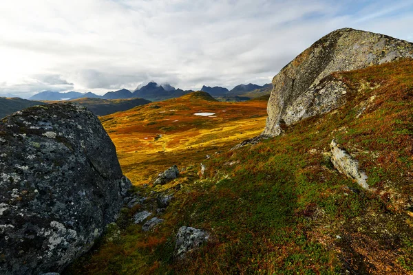 Goldene Landschaften Auf Einem Hochplateau Sommer Auf Den Lofoten — Stockfoto