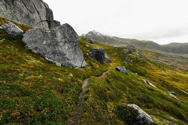 Norveç'te Lofoten Adaları'nda güzel manzara ve dağlar