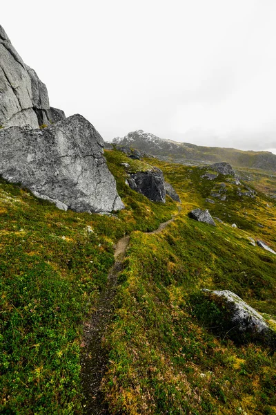 Norveç'te Lofoten Adaları'nda güzel manzara ve dağlar