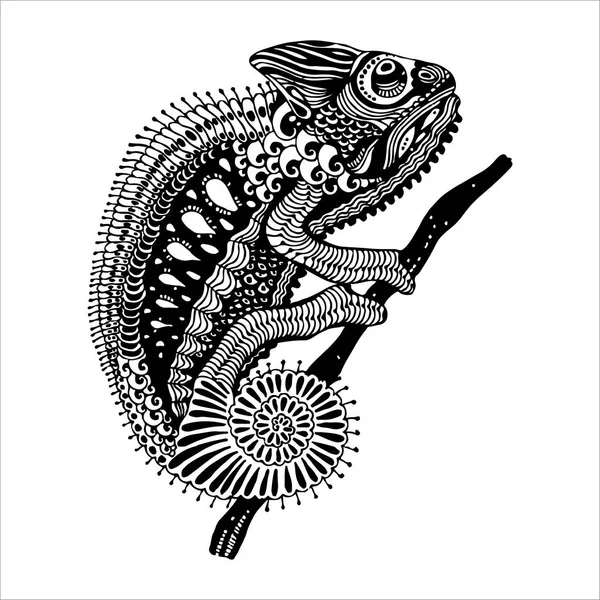 Çizim, bukalemun vektör çizim