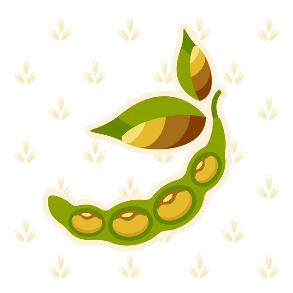 Soya pod vektör çizim
