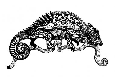 Bir bukalemunun vektör stilize görüntüsü