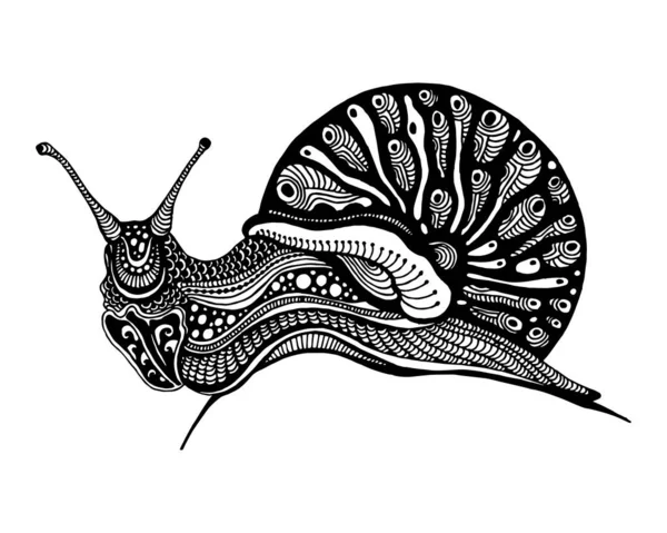 Bir salyangoz vektör stilize illüstrasyon, anti-stres boyama