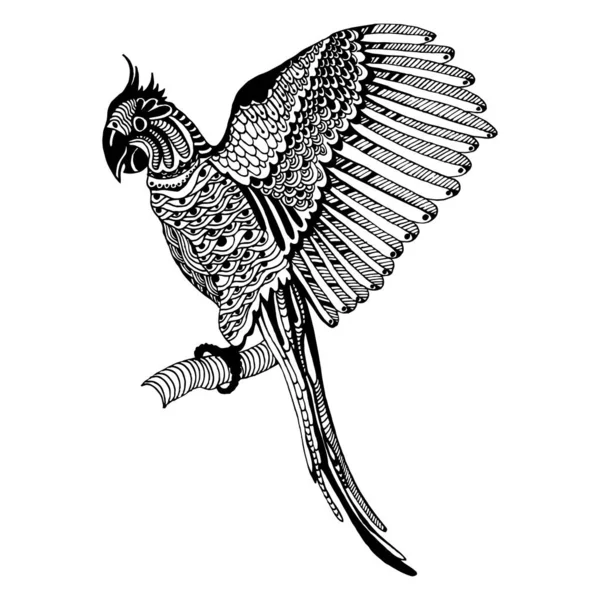 Bir dal, kuş üzerinde bir papağan Vektör illüstrasyon