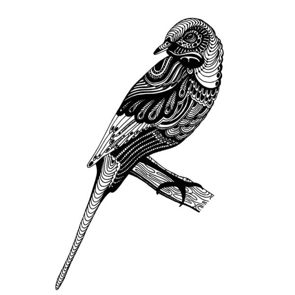 Bir dal üzerinde bir kuş vektör illüstrasyon, dekoratif resim