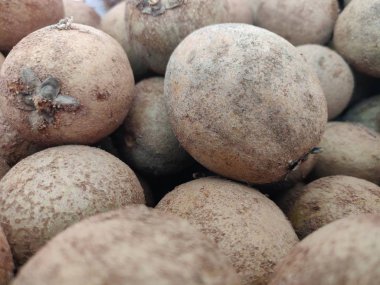 chikku veya pouteria sapota