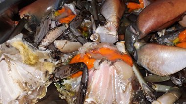 yumurta sarısı ile temizlenmiş çiğ taze yengeçler pişirmeye hazır