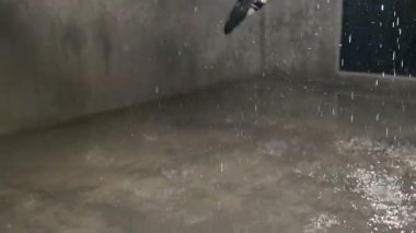 Dans stüdyosu altında pratik kadın suları stüdyo ışık önce bırakır. Balerin Bale siyah pointe içinde spor salonunda uzanır. O genç kızın kapalı damla yağmur altında egzersiz