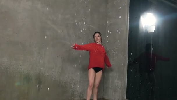 灰色の壁の背景とスタジオで雨の滴の下で踊っている金髪のウェットの女の子 現代舞踊 水滴や水の飛沫の下で赤いセーターで踊るウェット ダンサー — ストック動画