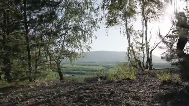 Idrottsman flicka kör genom skogen skogen. Riktiga människor, kvinna löpare sport utbildning under våren eller sommaren mountain utomhus natur, solnedgång — Stockvideo