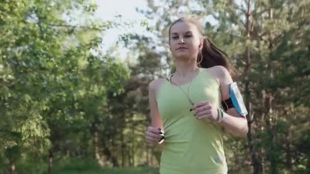 Μια νεαρή γυναίκα με ένα λεπτό σχέδιο εκτελείται στο δάσος κατά το ηλιοβασίλεμα. Υγιεινού τρόπου ζωής, κορίτσι αθλητής κάνει τρέχοντας κατάρτιση στην υπαίθρια στο πάρκο — Αρχείο Βίντεο