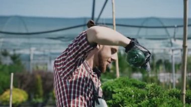 Genç erkek bahçıvan rahat kıyafet büyük büyük botanik Sera Bahçe alır eldiven koruyan sakallı. Bahçıvan bitki dökülen.