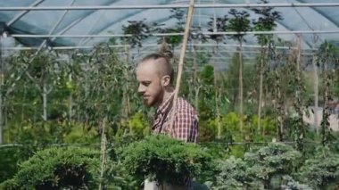 Büyük sera dekoratif bitkiler ve çiçekler. Kırmızı gömlekli, sakallı bir bahçıvan bitkiler durumunu incelemek ve onlara bakmak.