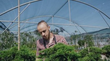 Yakın çekim. Dolly atış önlük sulama bitki ve çiçekler içinde çekici kadın bahçıvan Sera Bahçe spreyi.