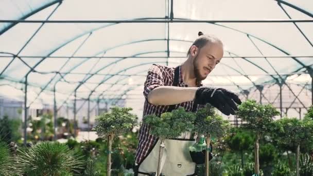 Young man gardener working in a large greenhouse. — Stock Video