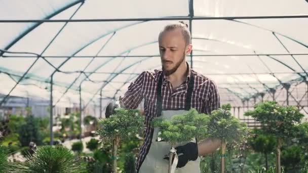 Nahaufnahme eines jungen Mannes mit Sprüher, die Pflanzen im Gewächshaus gießen. Pflege der Pflanzen, Gesundheit, Ökologie. Junger Gärtner bei der Arbeit. — Stockvideo