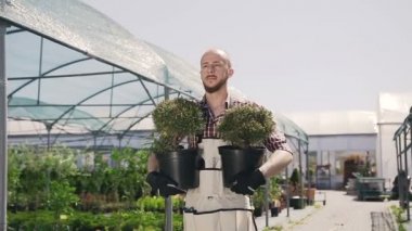 Sakalı ile güzel bir bahçıvan gülümsüyor ve süs bitkileri elinde tutar. Genç bir adam için çiçek bitki bahçe aletleri kullanır.