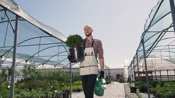 Un jardinero en una camisa de embrague y una herramienta de jardín va invernadero para plantar plantas ornamentales. Un día soleado en un gran invernadero . — Vídeo de stock