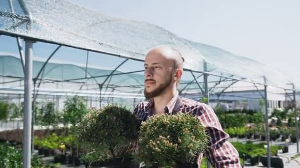 Close-up. Een man in een schort gaat naar de kas en draagt potten met bloemen in zijn handen. De tuinman plant in de tuin decoratieve bomen. — Stockvideo