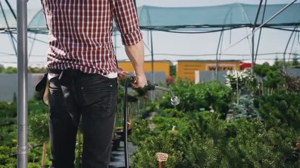 Gros plan d'une main tenant un tuyau avec de l'eau et arrosant des plantes décoratives dans la serre — Video