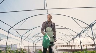 Adam bahçıvan Yeşil önlük sulama bitki ve çiçekler Sera Bahçe spreyi. Güneşin arka plan üzerinde su damlaları.