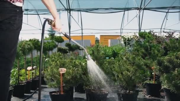 Detail. Šťastný mladý muž zahradník zalévání zahrady s hadicí. — Stock video