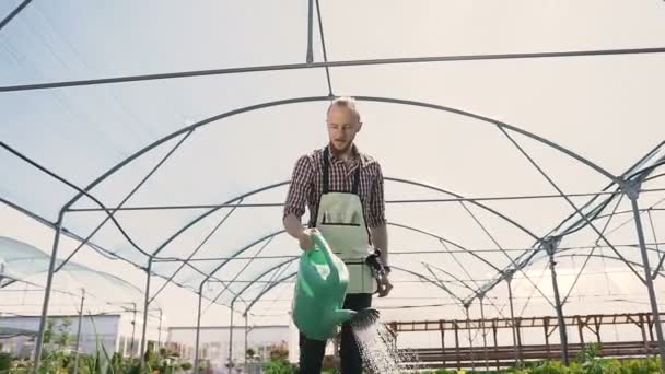 Člověk zahradník v zeleném kryt zalévání rostlin a květin s Zahradní postřikovače ve skleníku. Kapky vody na pozadí slunce. — Stock video