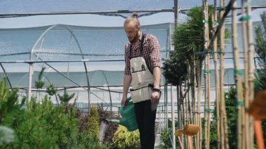 Yeşil bir huni bitkilerden sulama adam bahçıvan sera için gidiyor. Yeşil bitkiler ve parlak çiçek Bahçe merkezidir.