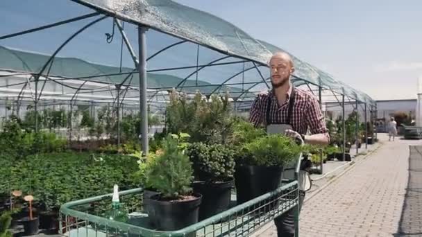 Joven trabajador masculino en mono blanco parado en carro de riel de tubería entre filas de plantas que crecen en lechos hidropónicos en grandes invernaderos industriales . — Vídeos de Stock