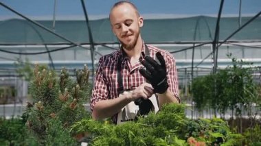 Bahçe aletleri ile apronda eldiven giyen bir neşeli adam. Bahçıvan bahçe yeşil bitkilerde işler. Yumuşak ve doğal ışık.