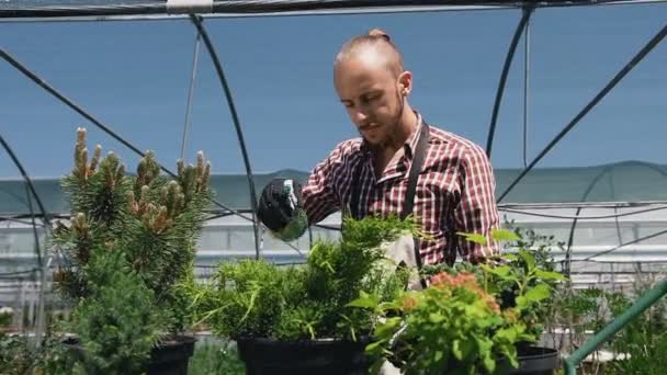 Nahaufnahme eines jungen Mannes mit Sprühgerät, der Pflanzen im Gewächshaus gießt. Pflege der Pflanzen, Gesundheit, Ökologie. der junge Gärtner arbeitet mit Pflanzen und Blumen. — Stockvideo