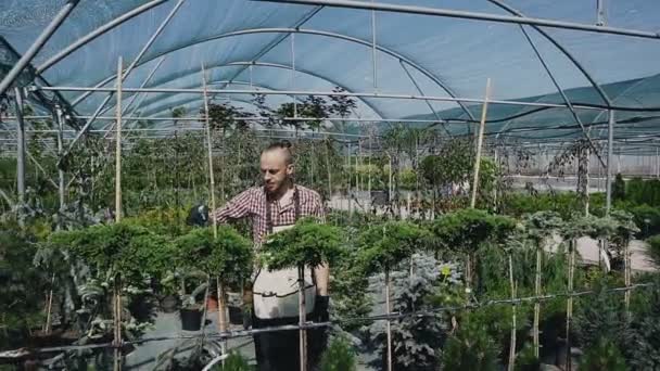 一般的な計画、カメラの動き。エプロン水生植物や花の温室で庭のスプレーヤーで魅力的な女性庭師のドリー ショット. — ストック動画