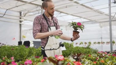 Genç bir bahçıvan onun sera çiçekli bahçesinde önemser. Bir adam su ile apronda çiçek sprinkles.