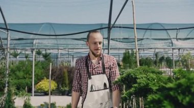 Bir sakallı bir genç bahçıvan Bahçe için gider ve bitkiler inceler. Sera fidan başarılı çalışan bahçıvanlar koyar.