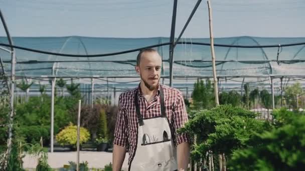 Bir sakallı bir genç bahçıvan Bahçe için gider ve bitkiler inceler. Sera fidan başarılı çalışan bahçıvanlar koyar. — Stok video