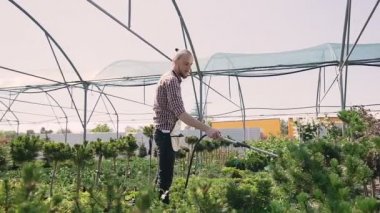 Önlük giyen genç adam bahçıvan sulama pot bitki ve yaprakları sera içinde çalışırken kontrol olduğunu. Meslek, çiçek, İşyeri ve insanlar kavramı büyüyen.
