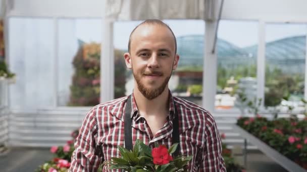 Närbild en blomkruka i händerna på trädgårdsmästaren, begreppet ett vackert liv i ett hus på landet. Porträtt av en leende arbetstagare vid en handelsträdgård. — Stockvideo