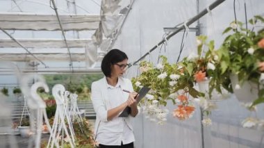 Çiçek satış müdürü sera bitkiler inceler ve tablet içinde verileri kaydeder. Güzel bir kız bir arka planda yeşil bitkilerin çiçek inceliyor.