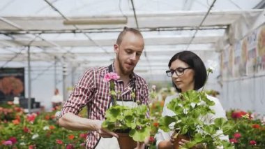 Bir genç çiçekçi çiçek onun dükkan diziden alır ve bir kadın müşteri satın almaya karar verir. Çiçek, güzel insanlar doğal ışık ile büyük sera