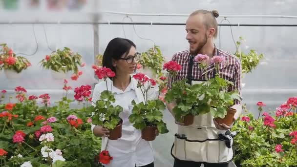 Floristería masculina interactuando con un cliente en flower. Una joven hermosa en gafas, sostiene flores en sus manos y habla con el vendedor de la tienda de jardín . — Vídeo de stock