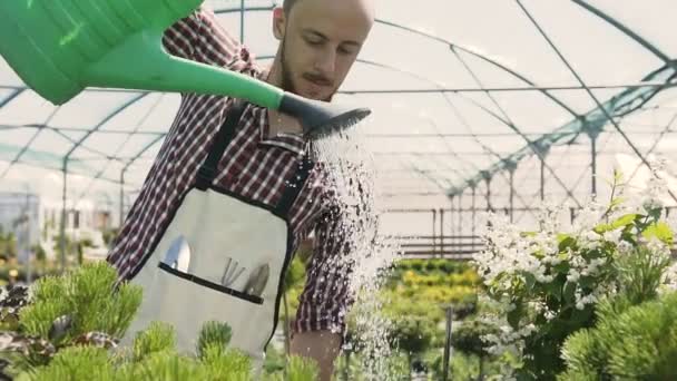 Detail ze zahradního nářadí. Zahradník jde do skleníku, zalévání rostlin ze zelené nálevky. Zahradní centrum okrasných rostlin a květin. 120fps. — Stock video