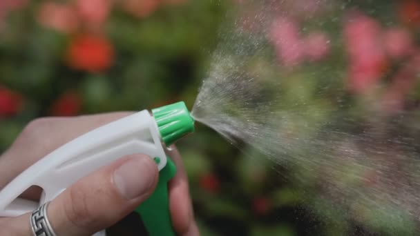 Wassertropfen auf dem Hintergrund von Gartenblumen. 120fps. — Stockvideo