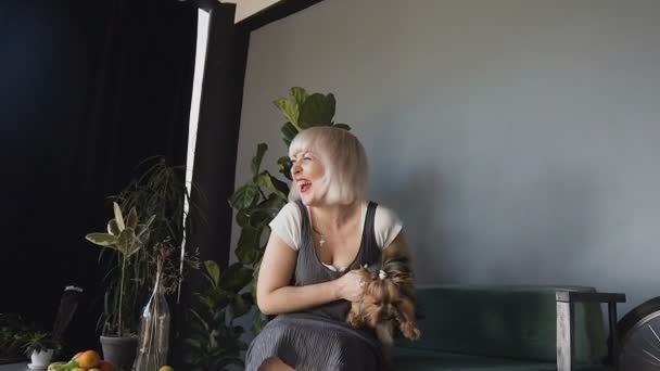 Блондинка очень счастлива играть со своей собакой. Йоркширский терьер в руках счастливой девушки в гостиной . — стоковое видео