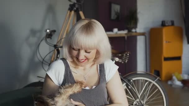 Mujer sentada en el sofá en la habitación jugando con el perrito Yorkshire Terrier. Una chica feliz jugando con un perrito en su habitación, en el fondo de una bicicleta — Vídeos de Stock