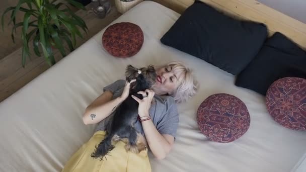 Widok z góry. Piękna Blondynka kładzie na łóżku w sypialni i podnosi małe rasy psów rasy Yorkshire terrier. Przez okno piękne promienie słońca blask. Naturalne światło i zwierzęta — Wideo stockowe