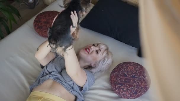 En kvinna i sängen spelar med ett husdjur. Härlig lekfull rolig hund yorkshire terrier och ung vithårig flicka. Hem atmosfär av morgon helg. Soliga sovrum rum. — Stockvideo