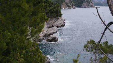 Adriyatik Denizi ve pines adlı Petrovac kapsadığı doğal katmanlı kayalar. Karadağ