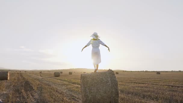 Вид сзади. Молодая девушка в платье и большая шляпа стоя на стоге сена с распростертыми руками весело провести время на закате в поле — стоковое видео