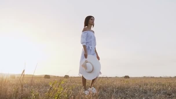 Widok z tyłu. Młoda brunetka kobieta szlak pieszy w polu o zachodzie słońca. Atrakcyjna dziewczyna w niebieska suknia z kapelusz przechodzi przez złote stogu siana w polu. Pojęcie wolności. — Wideo stockowe